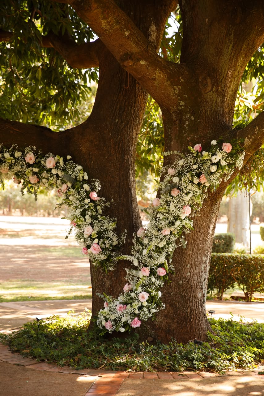 Detalhe floral em formato de coração em árvore centenária